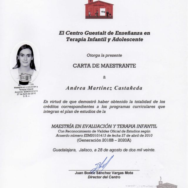 Ampliar imagen: certificate 1