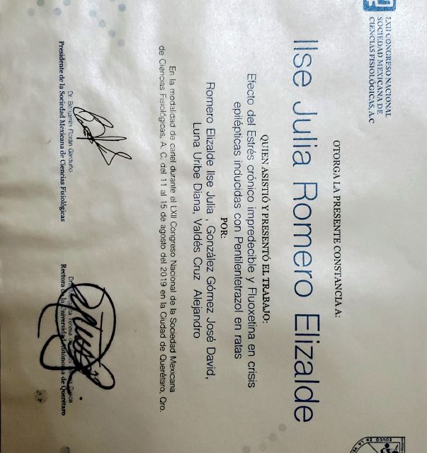 Ampliar imagen: certificate 11