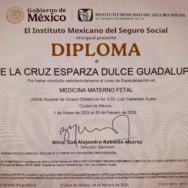 Ampliar imagen: certificate 2