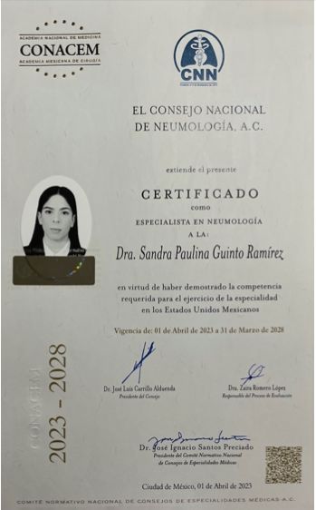 Ampliar imagen: certificate 4