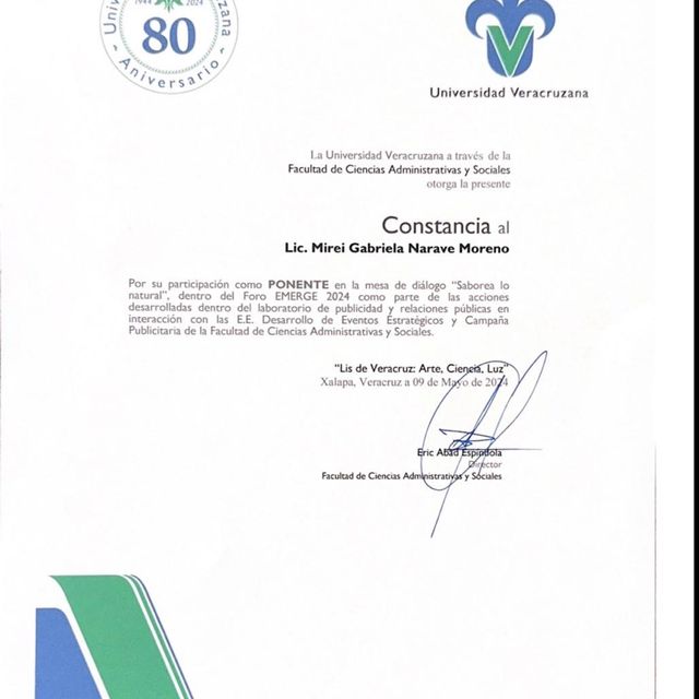 Ampliar imagen: certificate 13