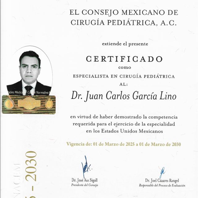 Ampliar imagen: certificate 1