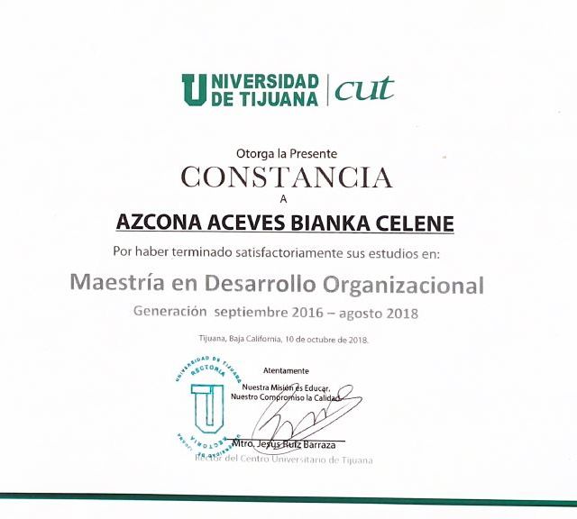 Ampliar imagen: certificate 14