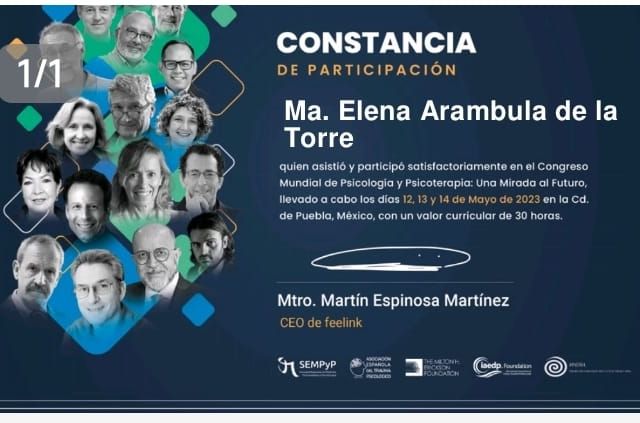 Ampliar imagen: certificate 9