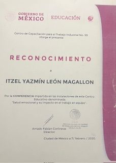 Ampliar imagen: certificate 9