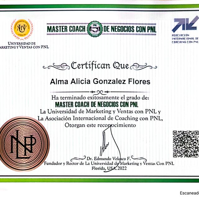 Ampliar imagen: certificate 28