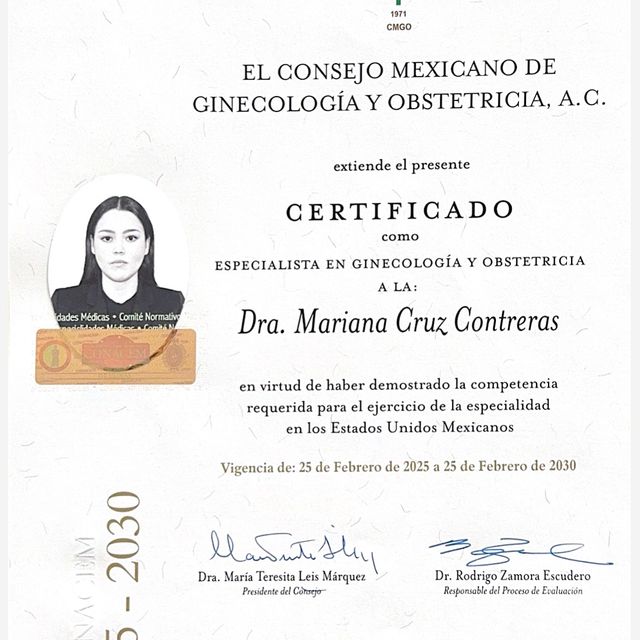 Ampliar imagen: certificate 1