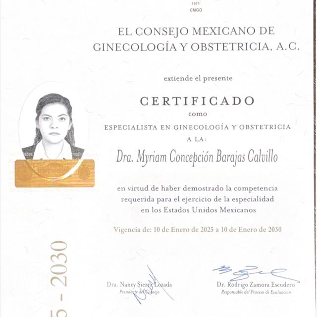 Ampliar imagen: certificate 1