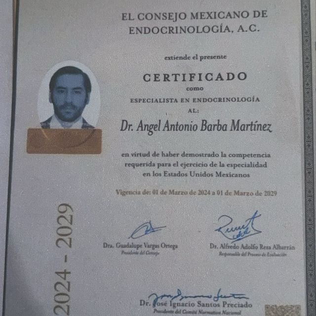Ampliar imagen: certificate 2