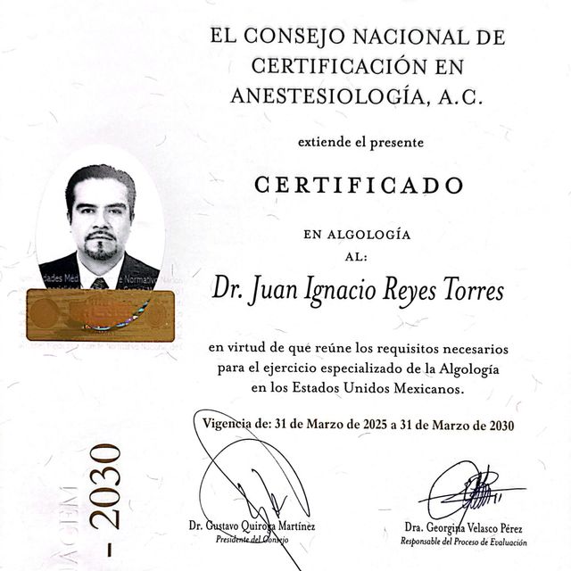 Ampliar imagen: certificate 6