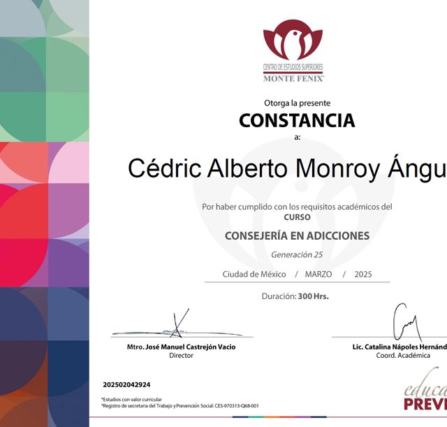 Ampliar imagen: certificate 1
