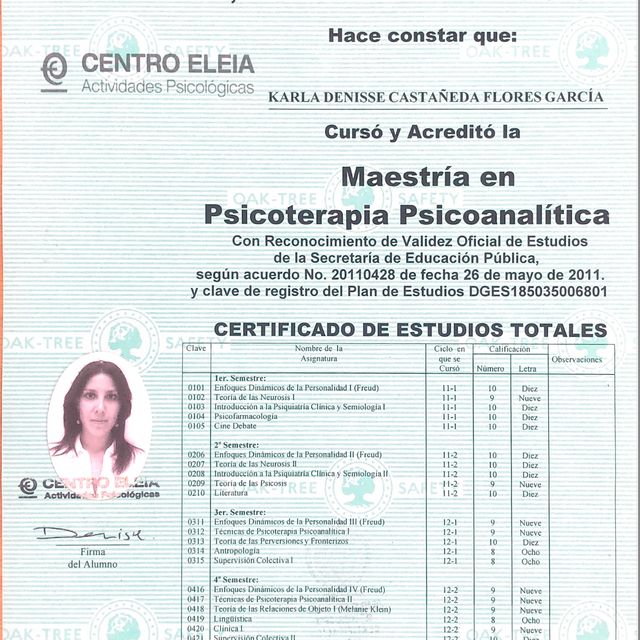 Ampliar imagen: certificate 1