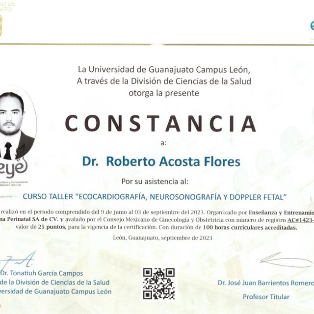 Ampliar imagen: certificate 1