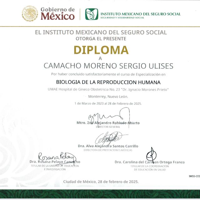 Ampliar imagen: certificate 1