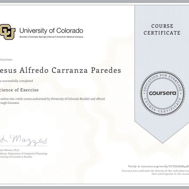 Ampliar imagen: certificate 5