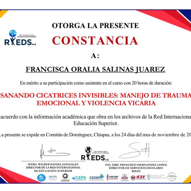 Ampliar imagen: certificate 11