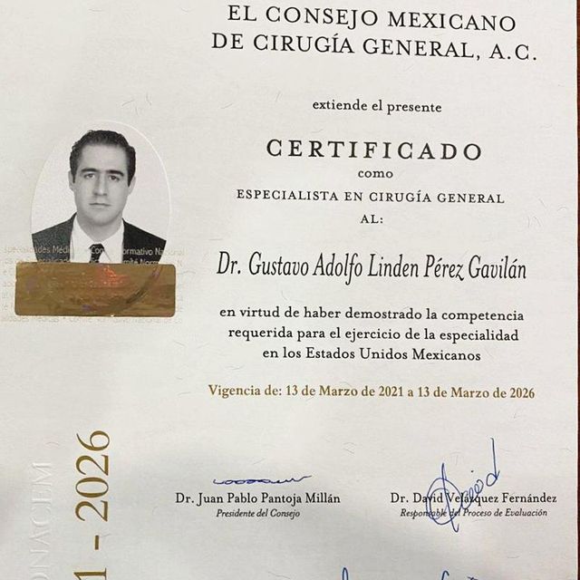 Ampliar imagen: certificate 4
