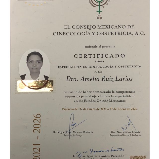Ampliar imagen: certificate 2