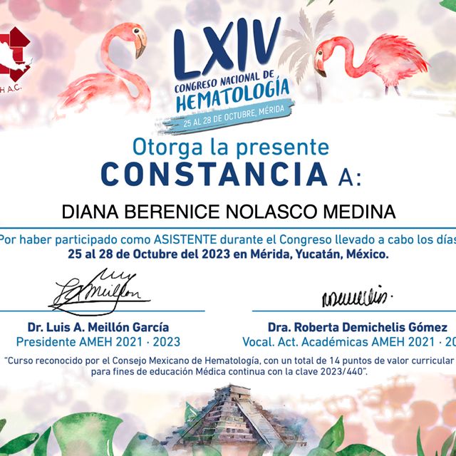 Ampliar imagen: certificate 8