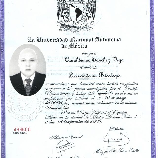 Ampliar imagen: certificate 6