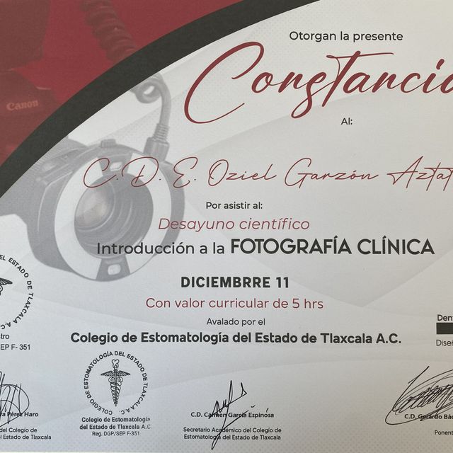 Ampliar imagen: certificate 13