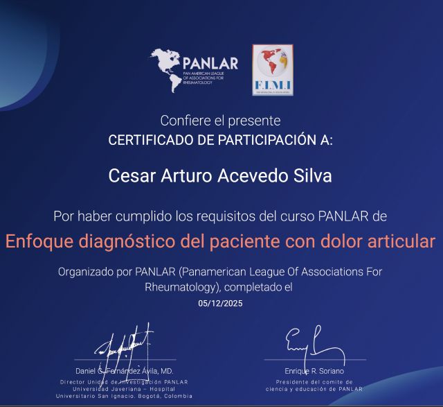 Ampliar imagen: certificate 4