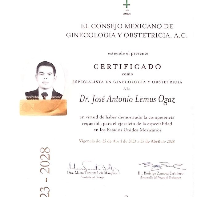 Ampliar imagen: certificate 1