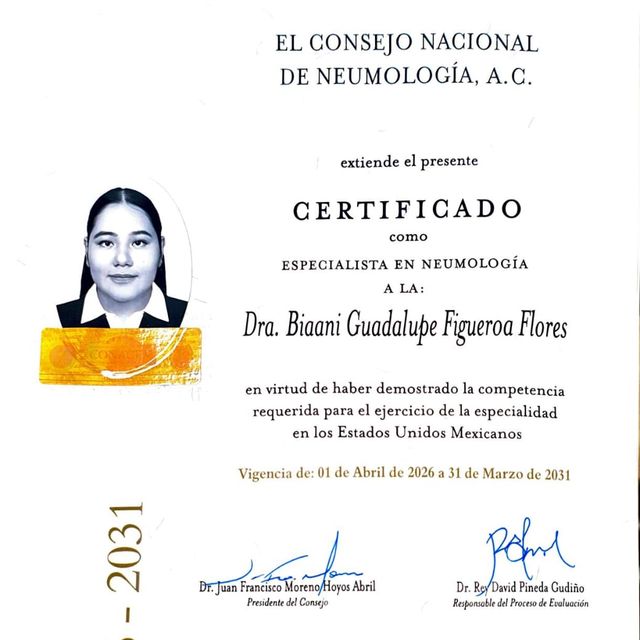 Ampliar imagen: certificate 1