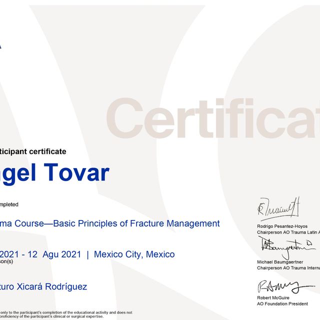 Ampliar imagen: certificate 7