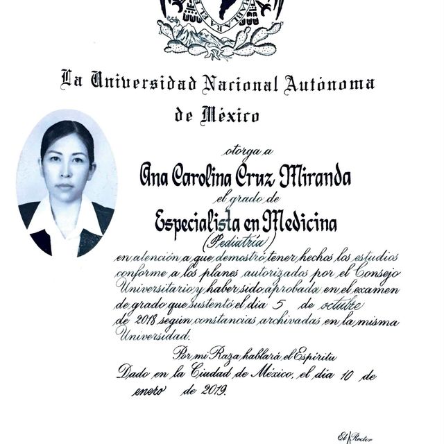 Ampliar imagen: certificate 5