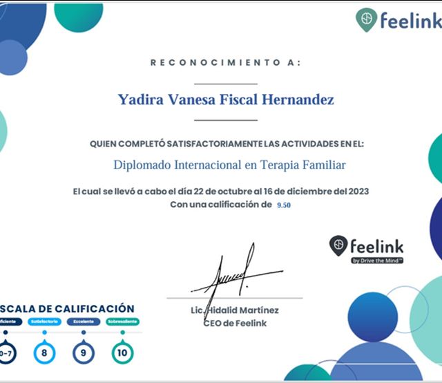 Ampliar imagen: certificate 1