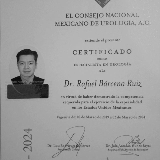 Ampliar imagen: certificate 3