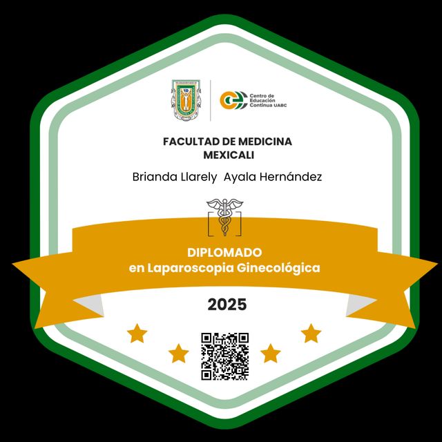 Ampliar imagen: certificate 3