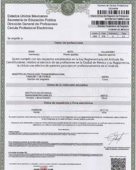Ampliar imagen: certificate 5