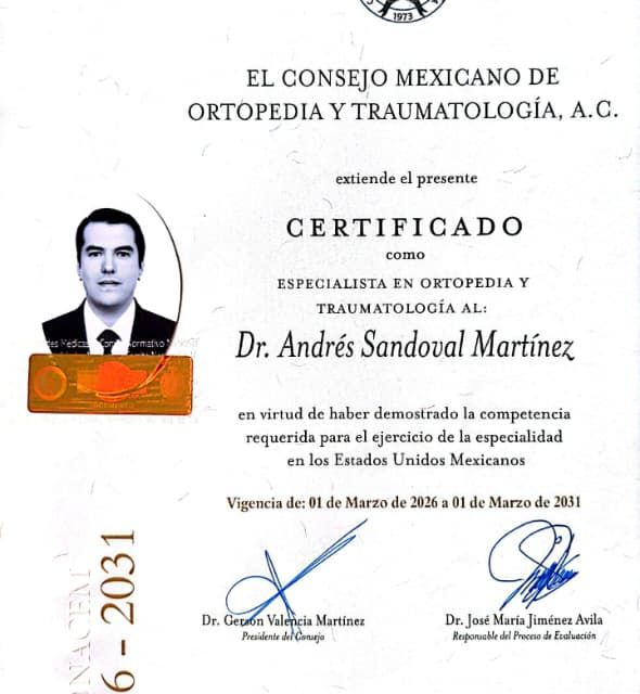 Ampliar imagen: certificate 1