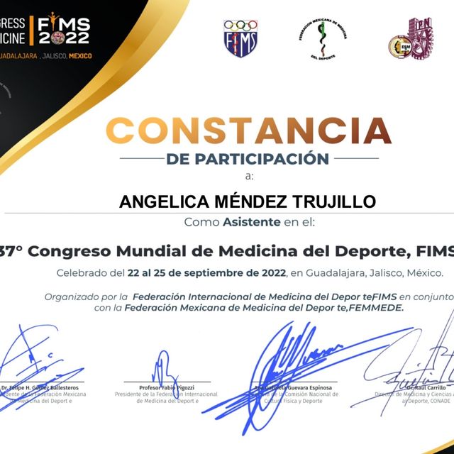 Ampliar imagen: certificate 11