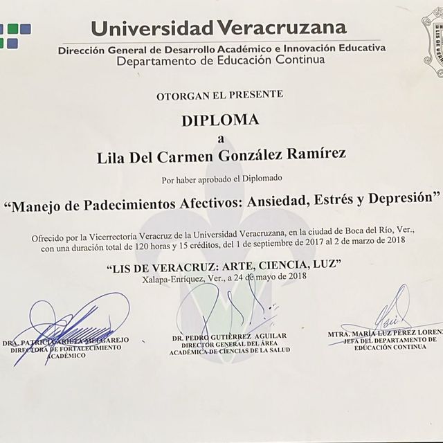 Ampliar imagen: certificate 3