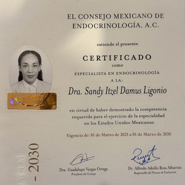 Ampliar imagen: certificate 3