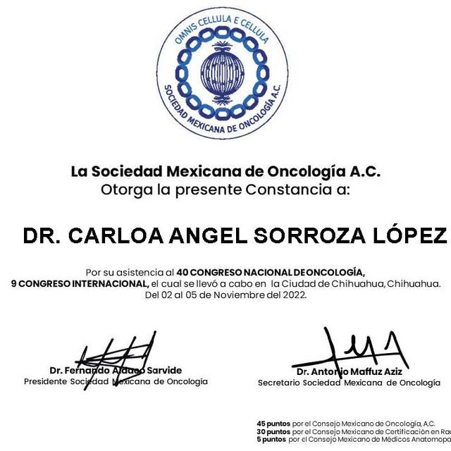 Ampliar imagen: certificate 4
