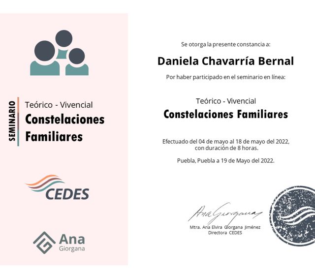 Ampliar imagen: certificate 14