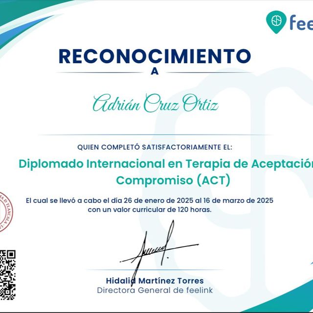 Ampliar imagen: certificate 4