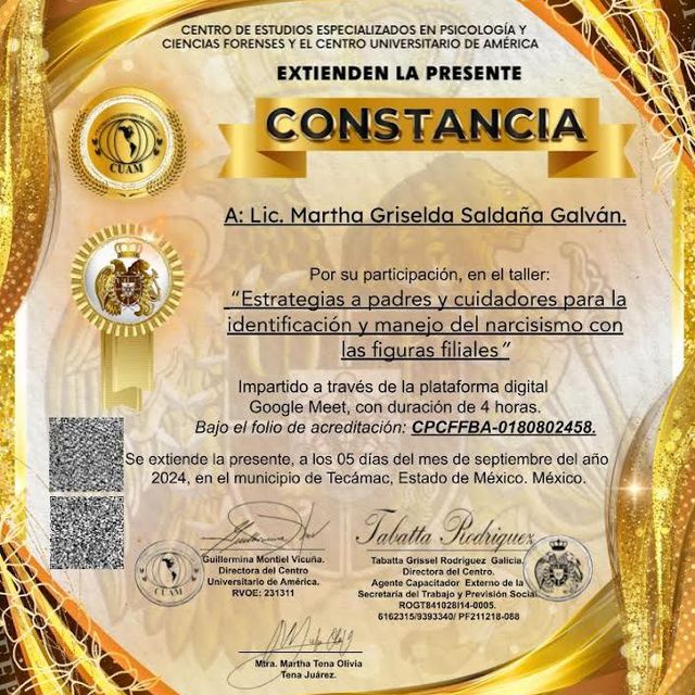 Ampliar imagen: certificate 9