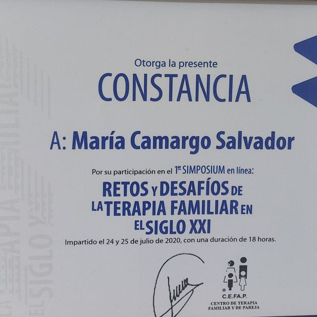 Ampliar imagen: certificate 26