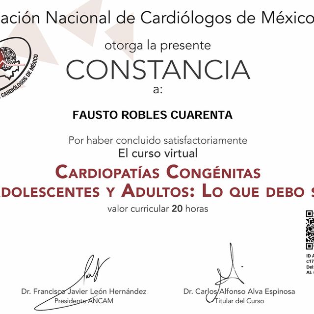 Ampliar imagen: certificate 40