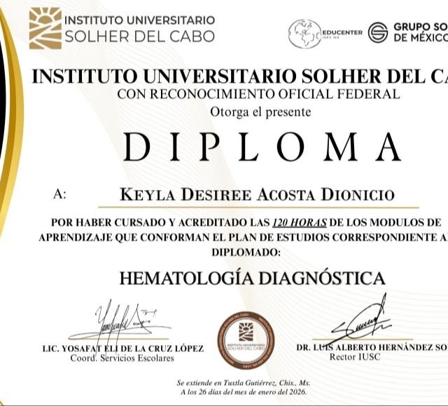 Ampliar imagen: certificate 4