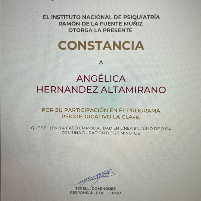 Ampliar imagen: certificate 4