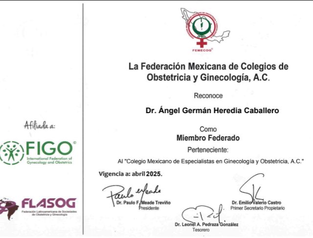 Ampliar imagen: certificate 6