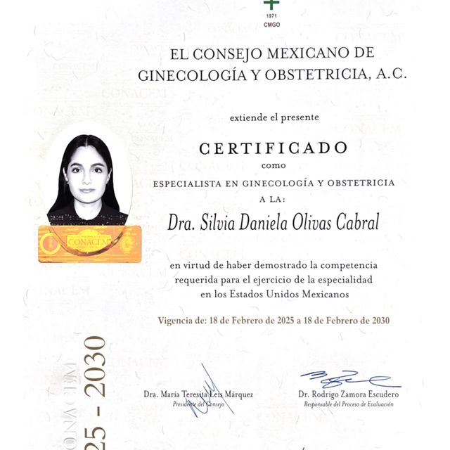 Ampliar imagen: certificate 1