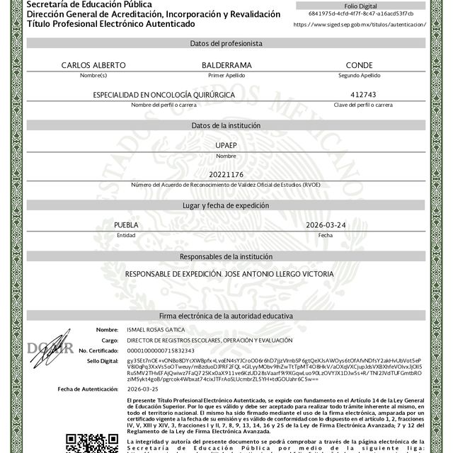 Ampliar imagen: certificate 5