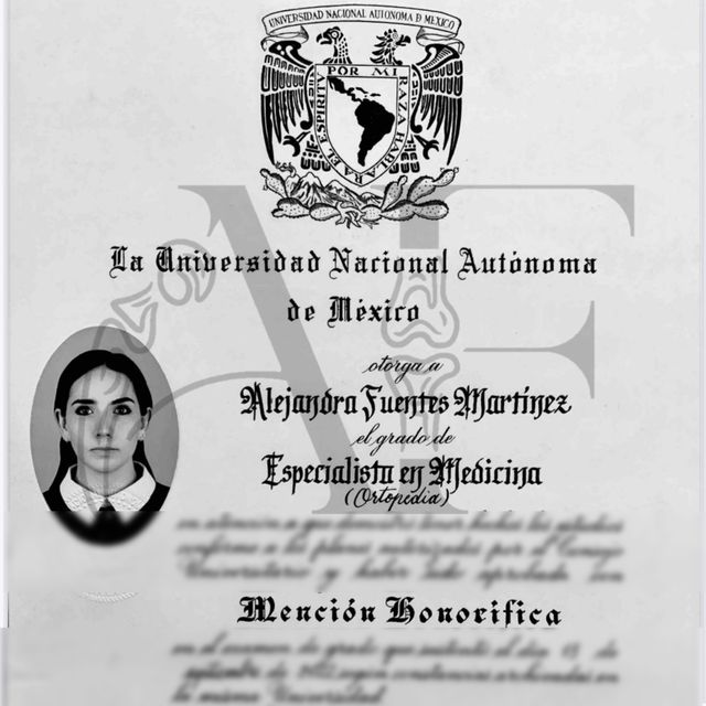 Ampliar imagen: certificate 1